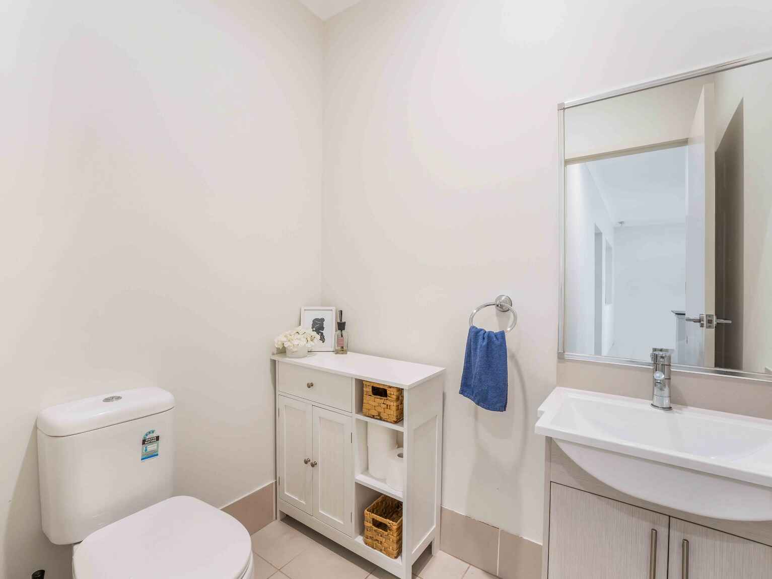 113 Diamond Hill Circuit Edmondson Park