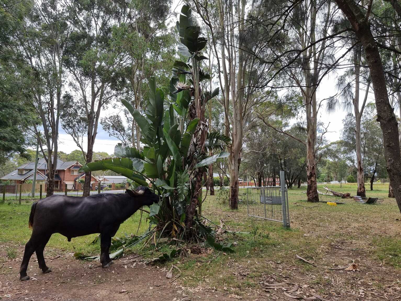 338 Catherine Fields Road Catherine Field