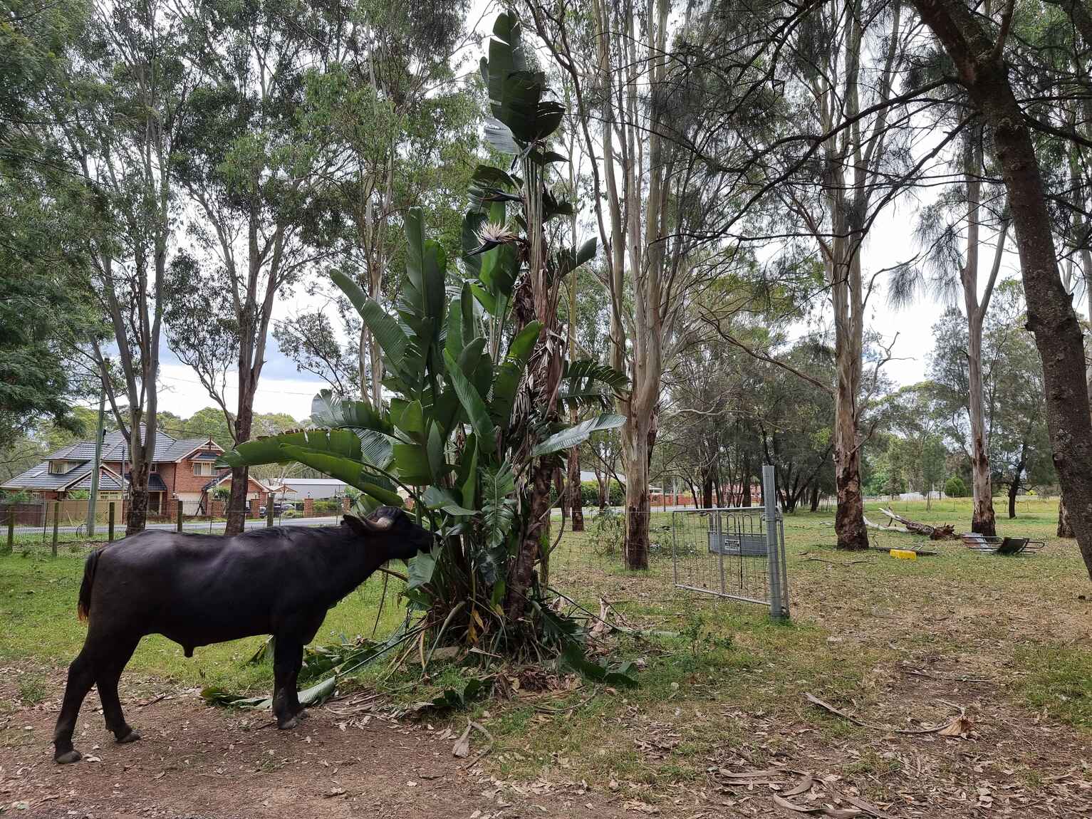 338 Catherine Fields Road Catherine Field